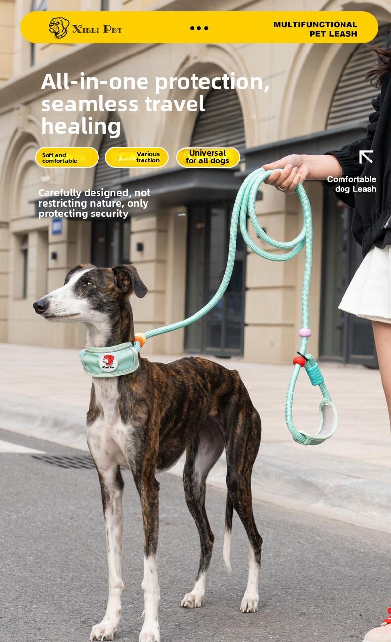 Hands-Free Dog Leash for Medium & Large Dogs