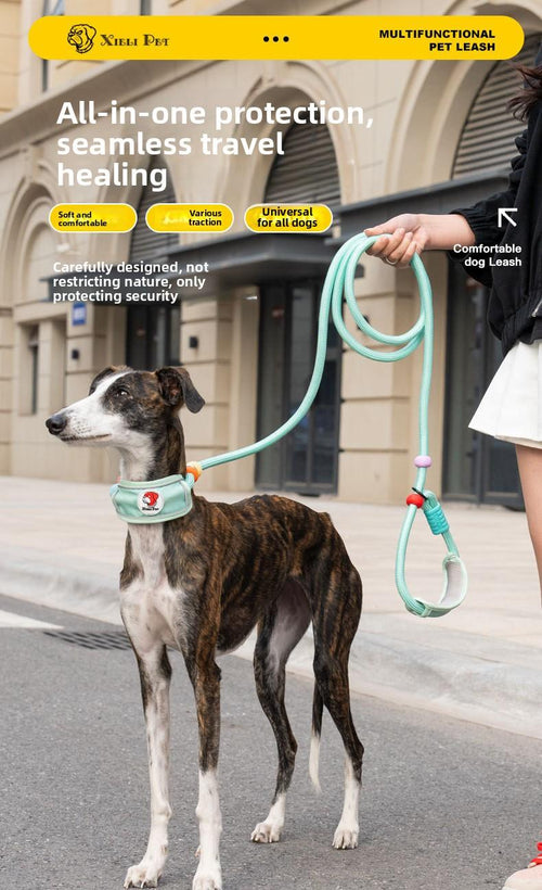 Hands-Free Dog Leash for Medium & Large Dogs