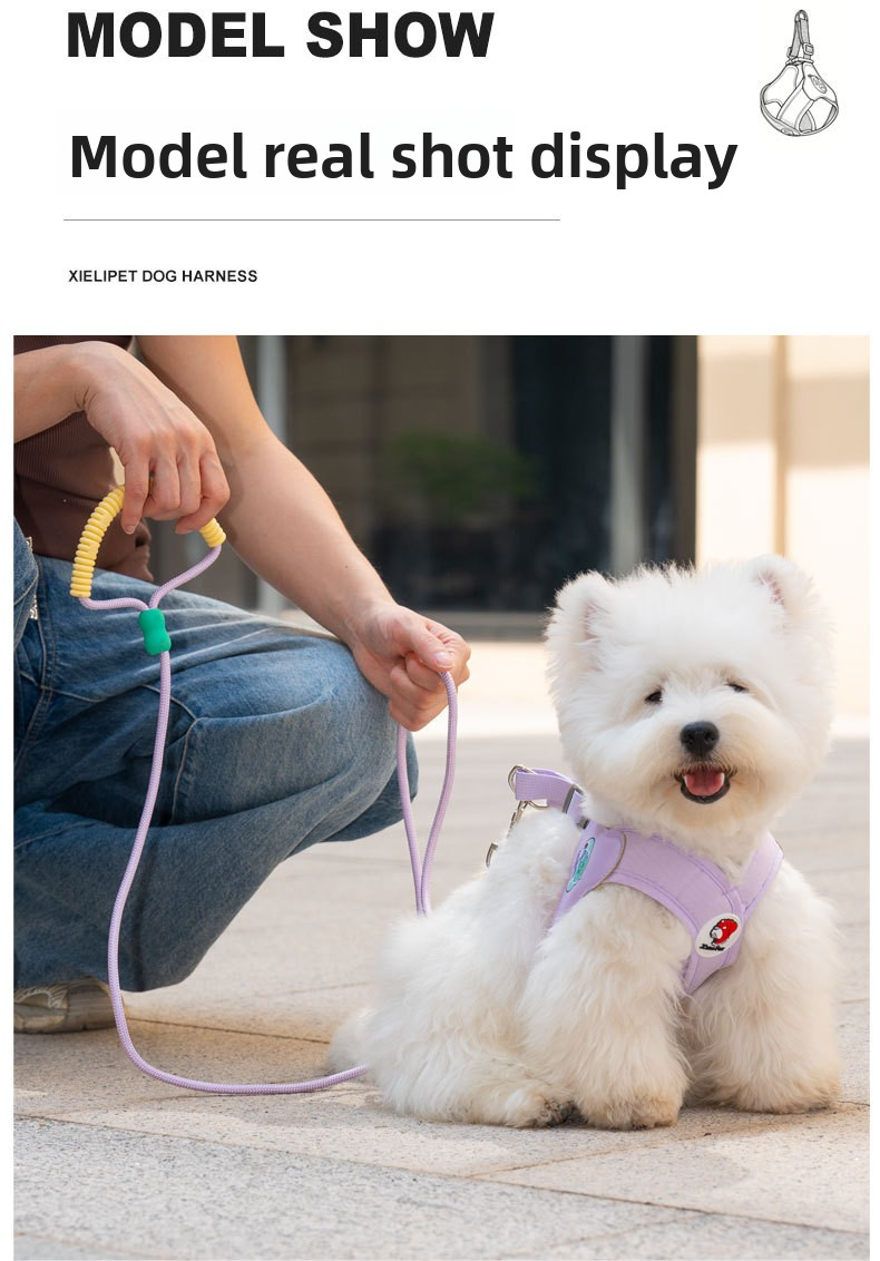 2026 New X-Shape Dog Harness & Leash Set - No-Choke Reflective Step-In Vest Harness for Small & Medium Dogs