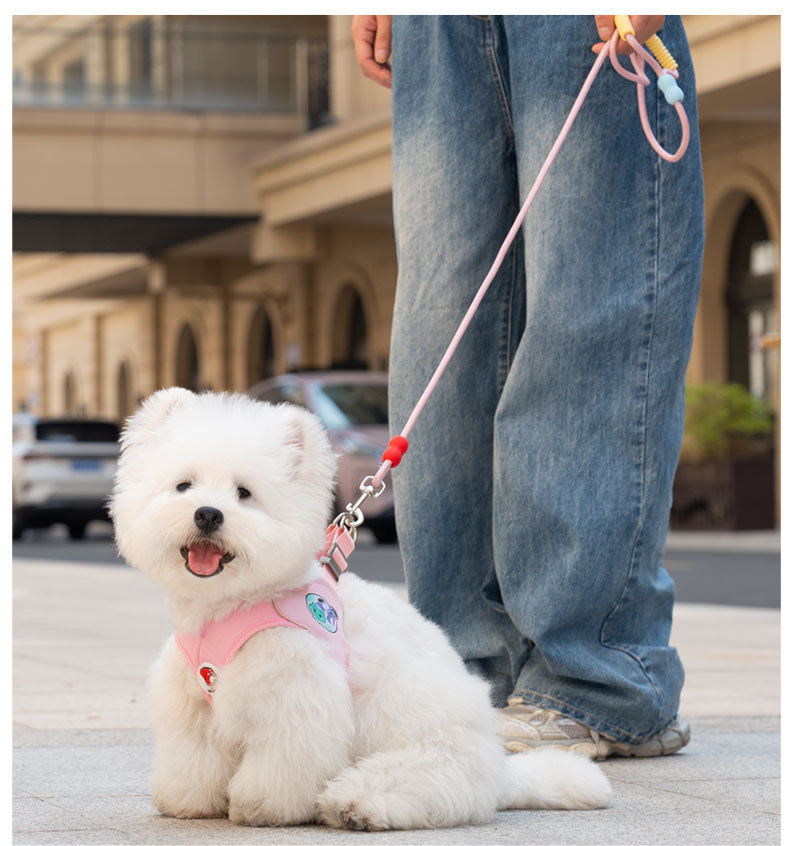 2026 New X-Shape Dog Harness & Leash Set - No-Choke Reflective Step-In Vest Harness for Small & Medium Dogs