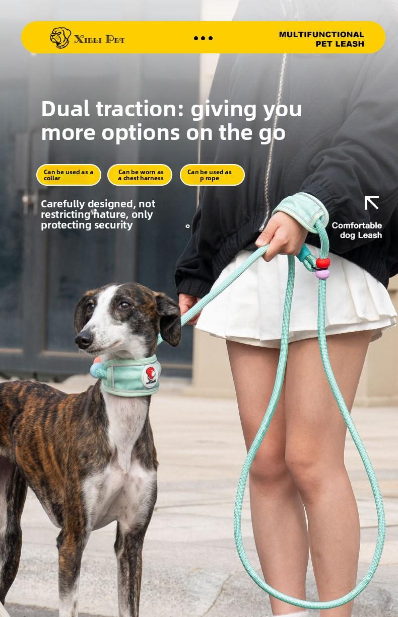 Hands-Free Dog Leash for Medium & Large Dogs