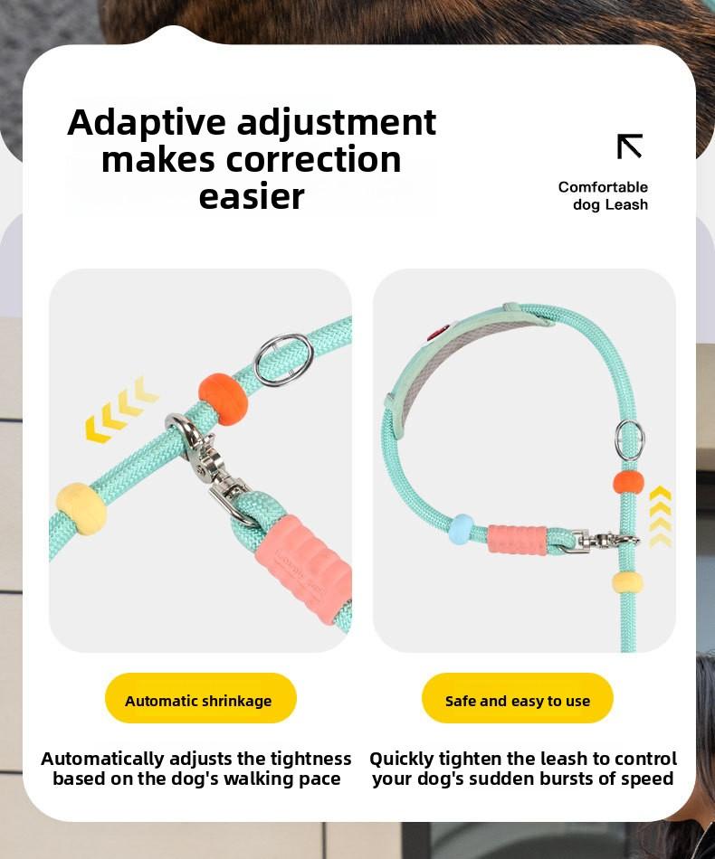 Hands-Free Dog Leash for Medium & Large Dogs