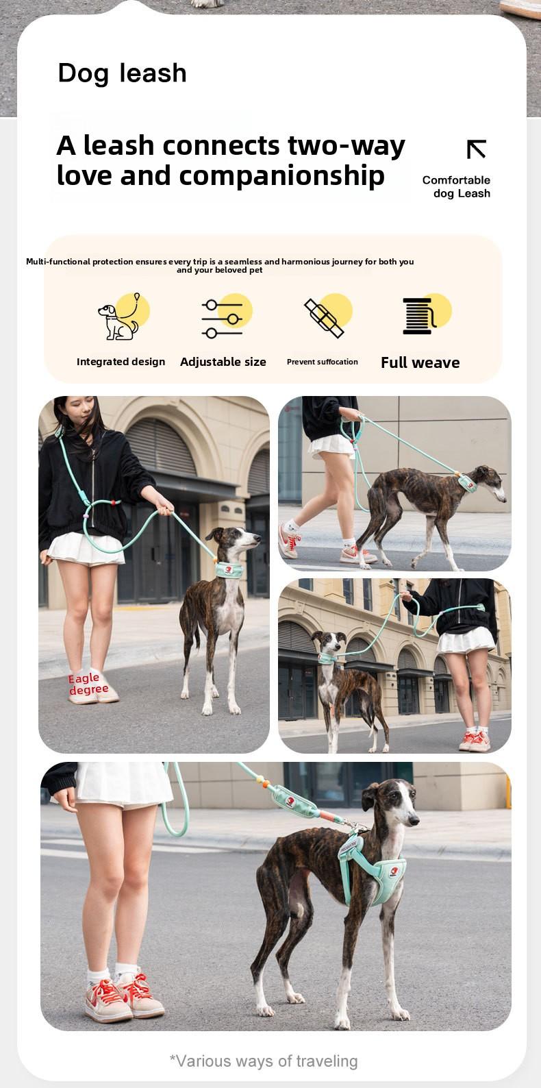 Hands-Free Dog Leash for Medium & Large Dogs