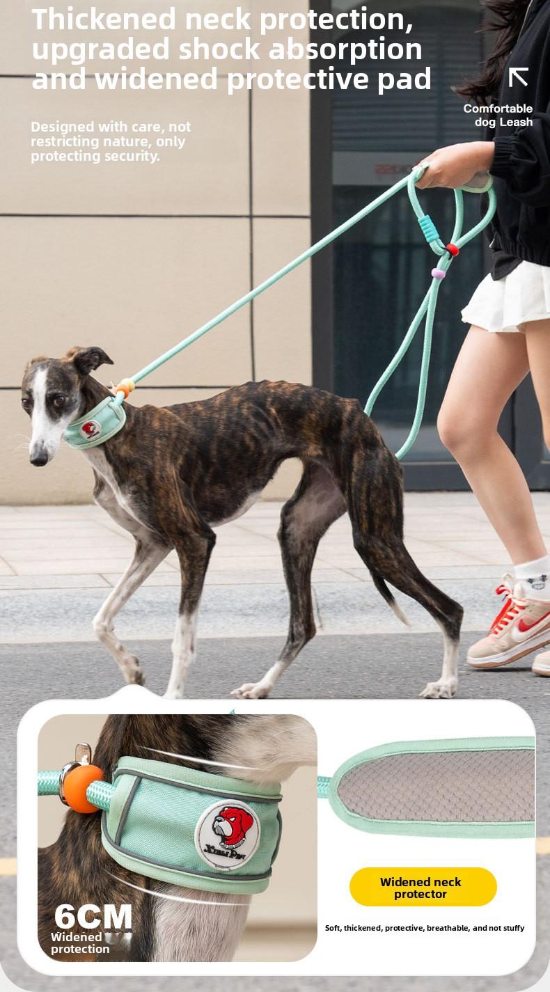 Hands-Free Dog Leash for Medium & Large Dogs