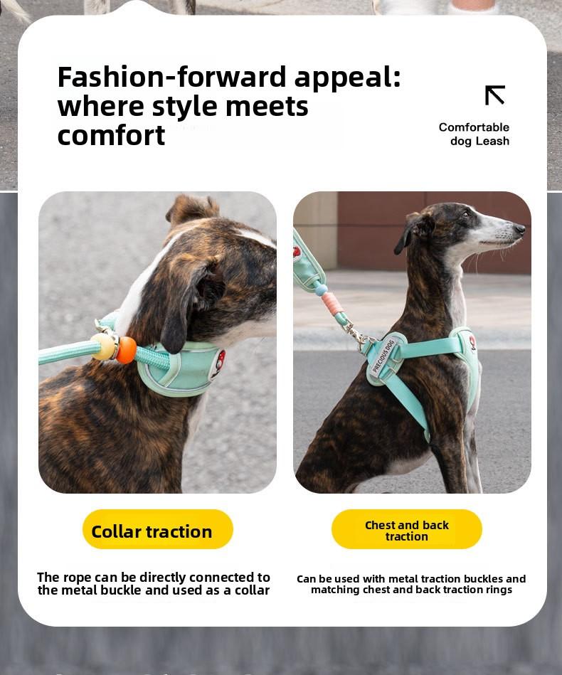 Hands-Free Dog Leash for Medium & Large Dogs