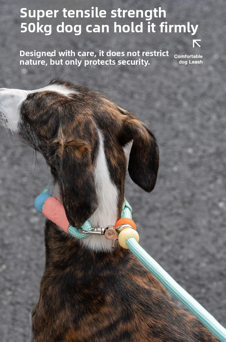 Hands-Free Dog Leash for Medium & Large Dogs
